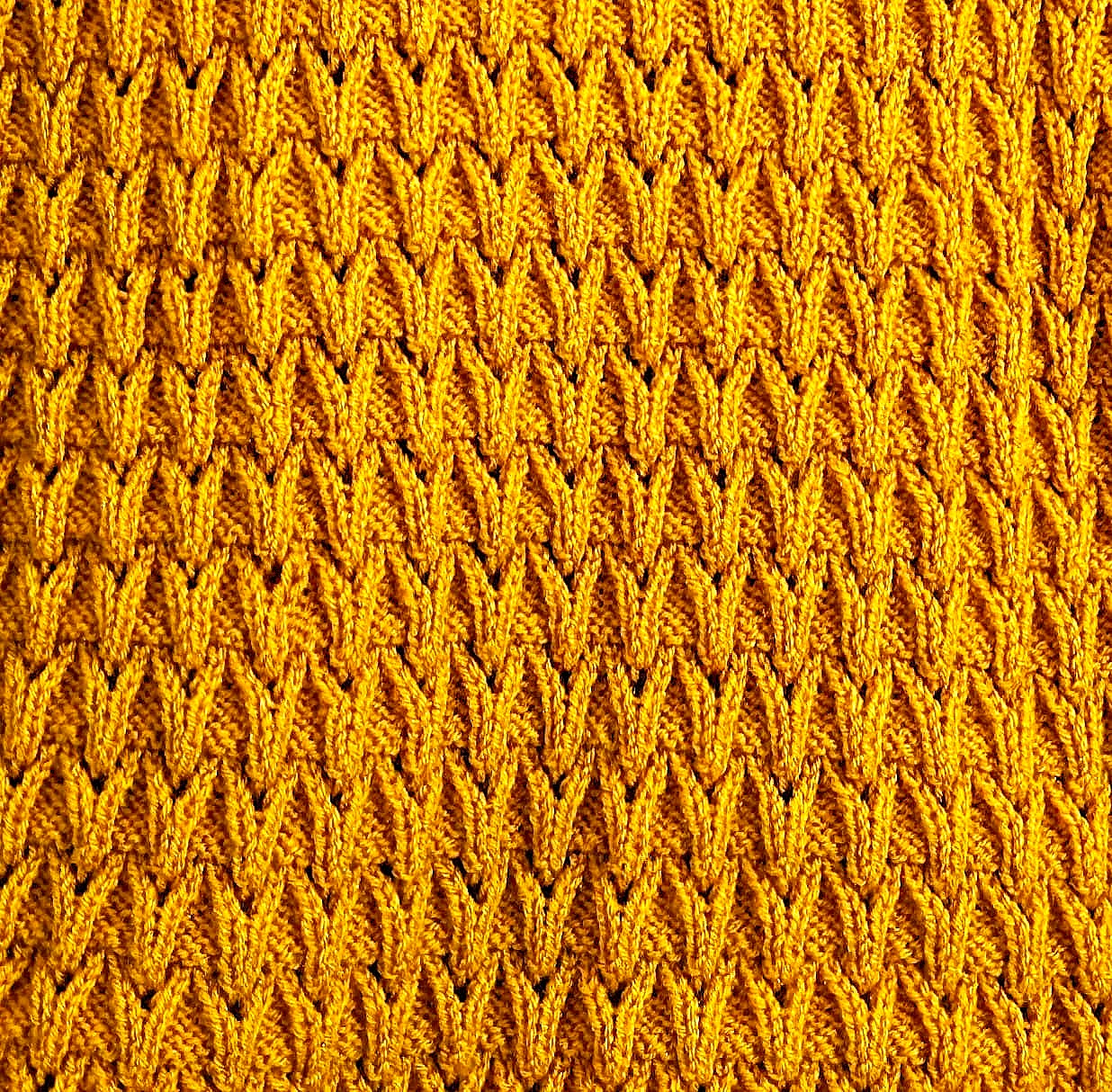 Mustard Yellow Knit Cardigan